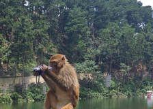贵阳自驾游 黔灵山公园旅游攻略