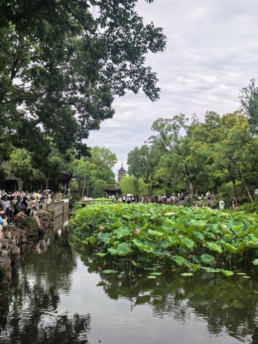 今日大盘走势图-攒股网股市行情