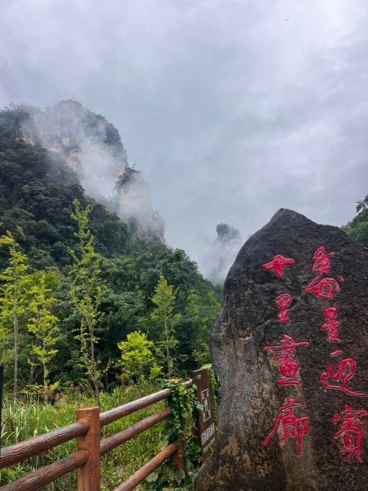 今日大盘走势图-攒股网股市行情